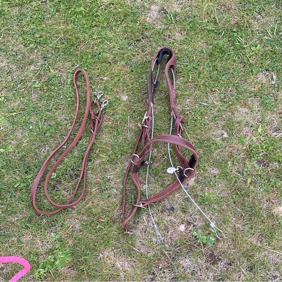 Buck buster bridle - Picture 3 of 3